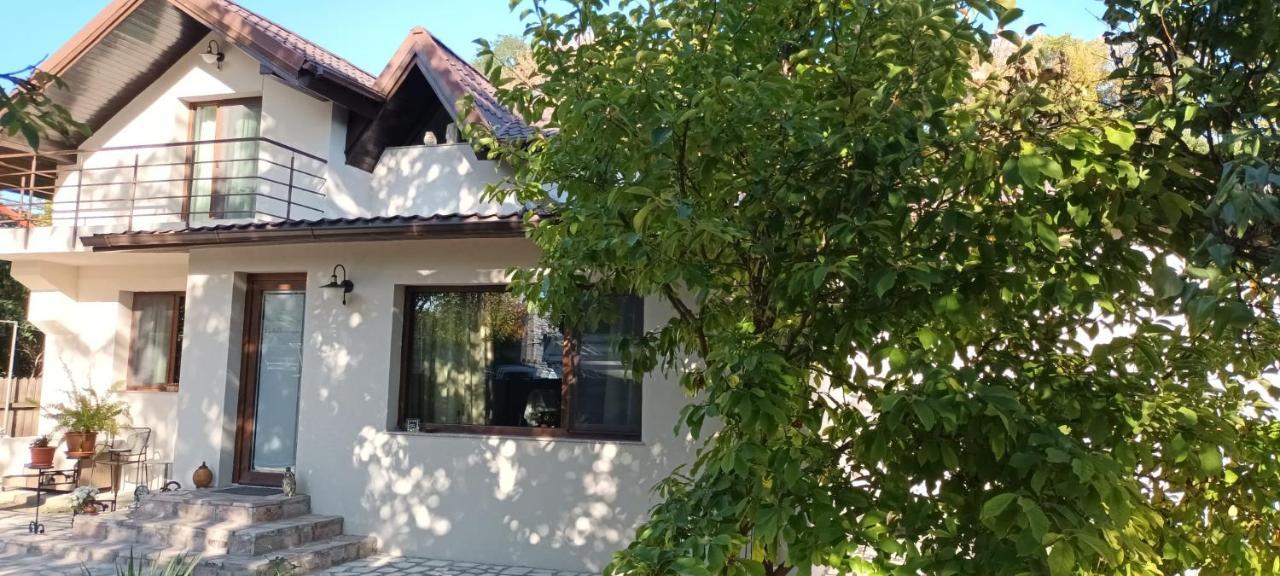 Iasskii Torg - La Belle Epoque Homestay Iasi
