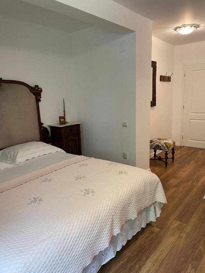 Iasskii Torg - La Belle Epoque Homestay Iasi