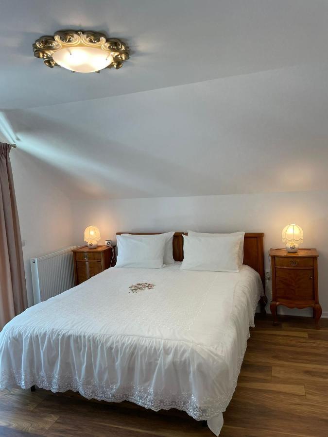 Homestay Iasskii Torg - La Belle Epoque Iasi