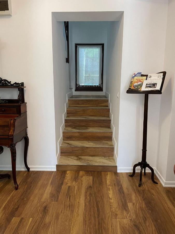 Iasskii Torg - La Belle Epoque Homestay Iasi